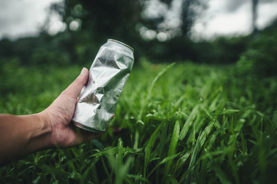 Cropped hand of person holding condom