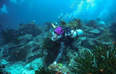 Scuba diving in sea