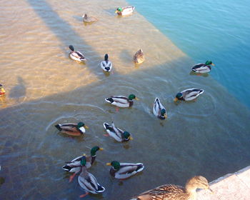 High angle view of people at beach
