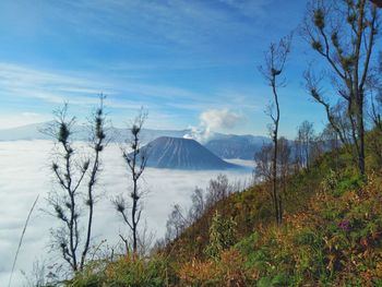 Scenic view of landscape and mountains against sky