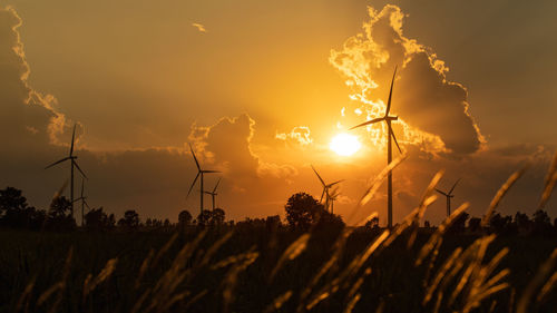 Silhouette plants on field against sky during sunset