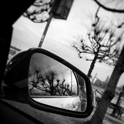 Reflection of bare trees on side-view mirror
