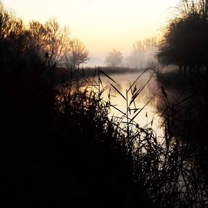 Silhouette trees by lake against sky during sunset