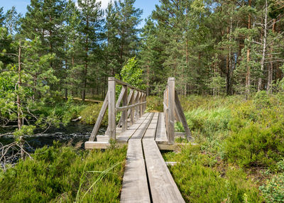 A swamp lake, a wooden pedestrian bridge