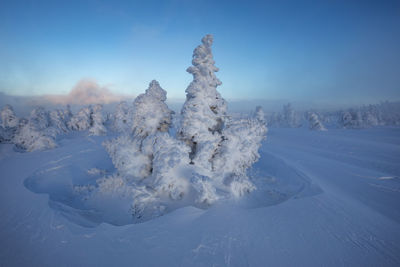 Snow covered land and trees against sky