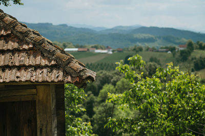 Scenic view of trees and houses against sky