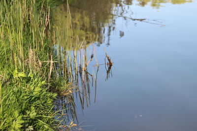 View of a lake