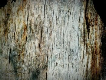 Full frame shot of weathered wood