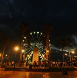 Illuminated ferris wheel at night