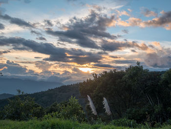 Scenic view of field against sky during sunset