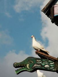 Low angle view of seagull perching on roof against sky