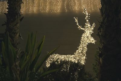 Panoramic view of trees at night