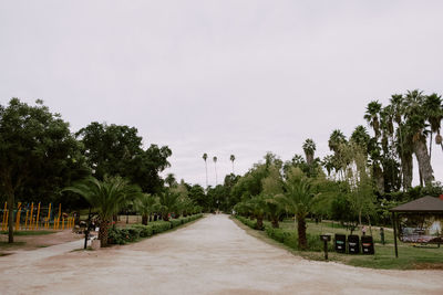 Empty road along trees and plants against sky