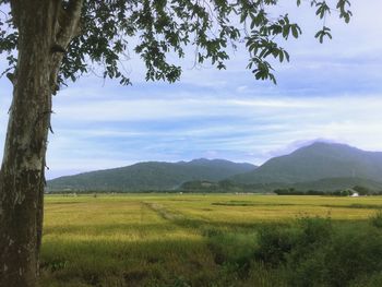 Scenic view of land against sky