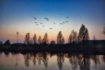 Birds flying over lake during sunset