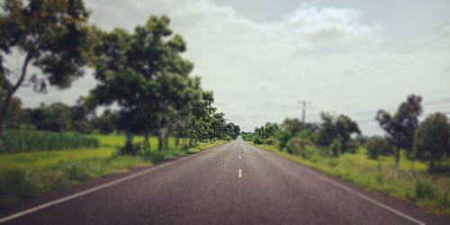 Empty road amidst trees against sky