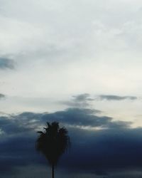 Low angle view of silhouette tree against sky