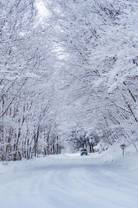 Snow covered landscape