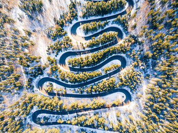 Aerial view of road amidst tree during winter