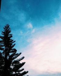 low angle view