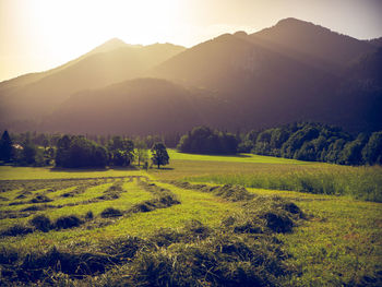 Scenic view of field against mountains