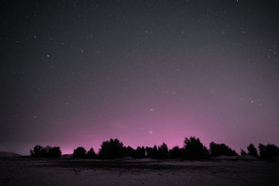 Trees on field against sky at night