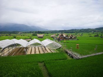 Scenic view of agricultural field against sky