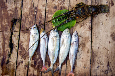 High angle view of fish on wood