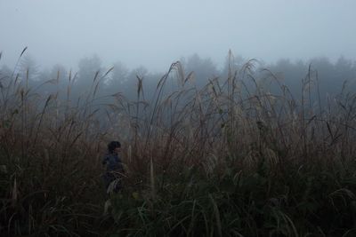 People on grassy field