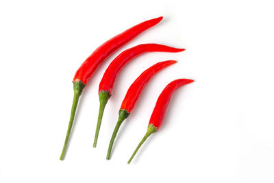 Close-up of red chili pepper against white background