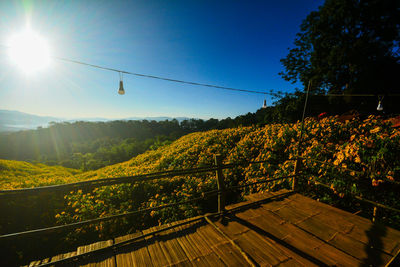 Scenic view of landscape against clear sky