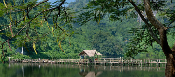 House by lake against trees in forest