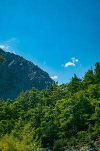 Scenic view of trees and mountains against blue sky