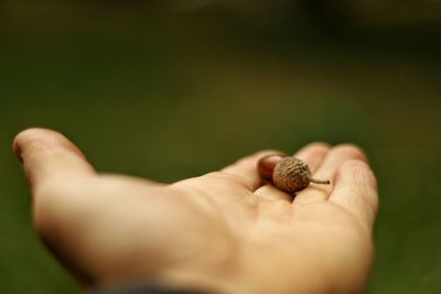 Close-up of cropped hand holding text