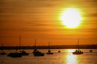 Silhouette sailboats in sea against sky during sunset