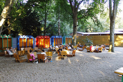 Chairs against trees