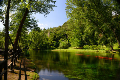 Scenic view of lake in forest against sky