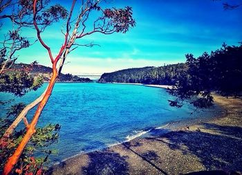 Scenic view of sea against sky
