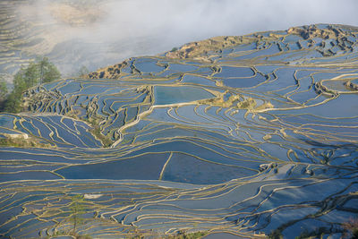 Yuanyang rice terrace, yunnan, china