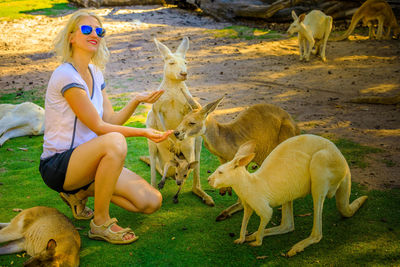 Full length of woman crouching by kangaroos