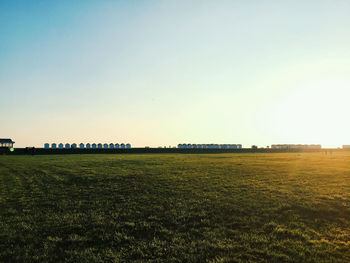 Scenic view of field against clear sky