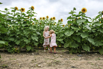 Sisters holding hands while playing against sunflower field