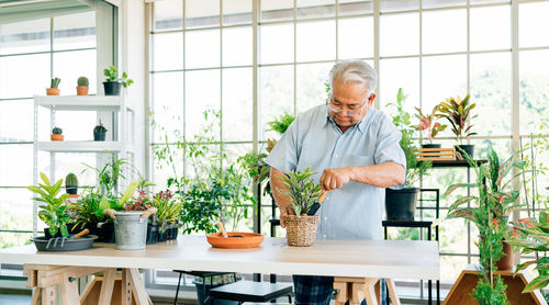 Man standing by potted plant on table