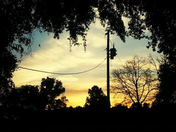 Silhouette of trees at sunset