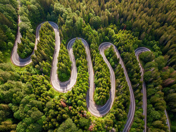 Winding road through the forest, from high mountain pass, in summer time.