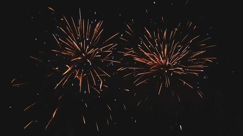 Low angle view of firework display at night