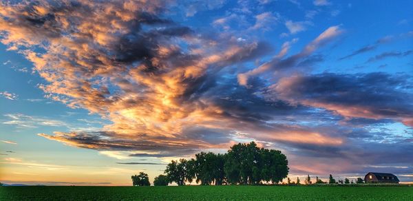 Scenic view of field against sky during sunset