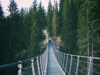 Footbridge amidst trees in forest