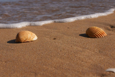 Laredo beach summer view