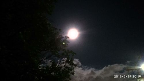 Low angle view of illuminated trees against sky at night